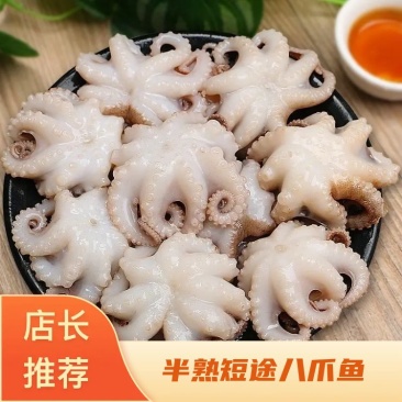 半熟短腿八爪鱼，长腿八爪鱼