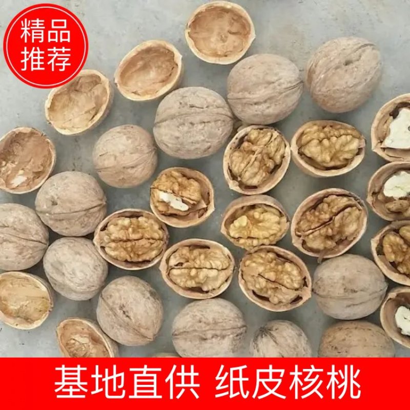 精品核桃品类齐全货源充足量大从优欢迎老板前来选购可视频