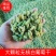 大颗粒无核白葡萄干，颗粒泡满，干度好，颗粒大。