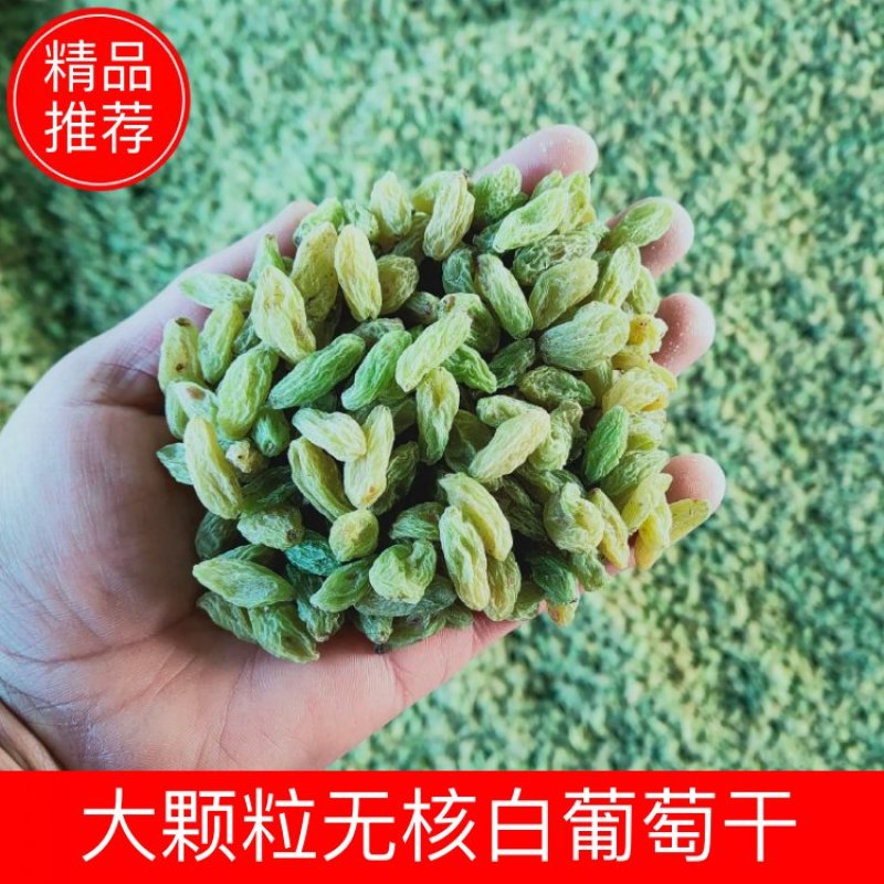 大颗粒无核白葡萄干，颗粒泡满，干度好，颗粒大。