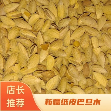 新疆纸皮巴旦木精选品质量保证放心收购