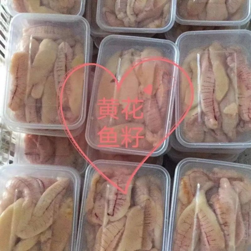 山东精品黄花鱼籽，新鲜保质，品种保证，全国发货欢迎选购