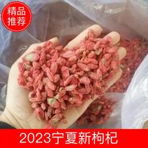 2023宁夏新枸杞13.5元产地供破碎粒小沾叶电商专用