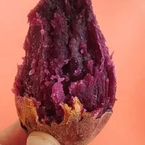 山东紫薯一件代发，产地一手货源，规格多样，包装可选