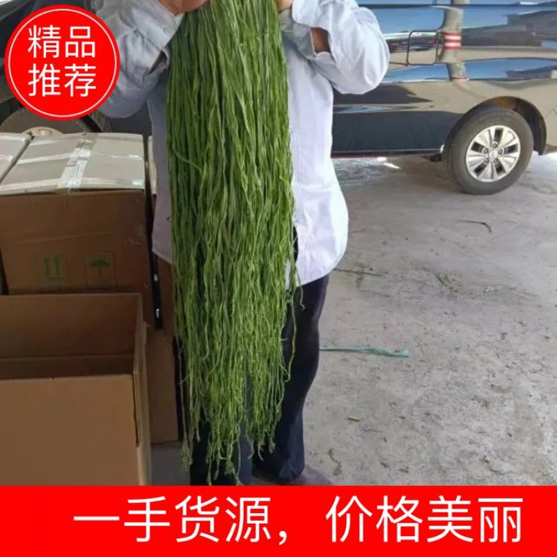 一级贡菜干一件代发基地发货一手货源批发品质保证价格优惠