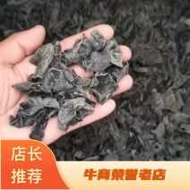 秋木耳河南南阳秋木耳，农家自产自销的秋木耳电联