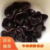 木耳黑木耳东北的黑木耳然肉厚无根小耳