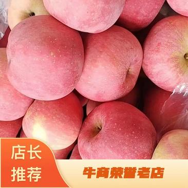 辽宁红富士苹果葫芦岛绥中县苹果产地苹果批发整车走货
