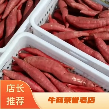 红薯，西瓜红，沙地西瓜红，精品西瓜红小长条西瓜红小薯