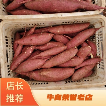 济薯，板栗薯，济薯26小红薯雄安板栗