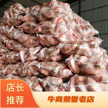 红薯，龙薯九，龙薯九大头，精品龙薯九大头