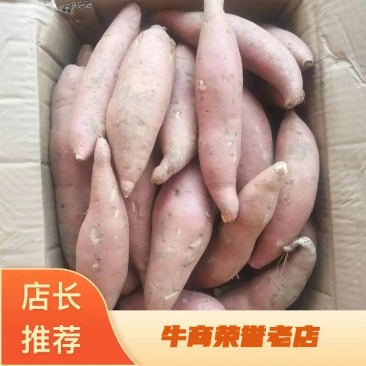 龙薯九精品龙薯9分拣包装产地代办