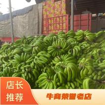 条蕉，电商货，香蕉，单个，片蕉工厂加工货