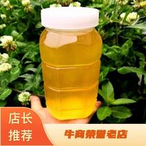 【热卖推荐】湖南湘西土特产土蜂蜜大量有货保质保量欢迎订购