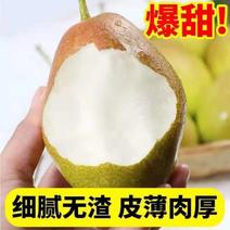 【精品推荐】正宗红香酥梨产地发货一手货源全国批发价低口感脆甜