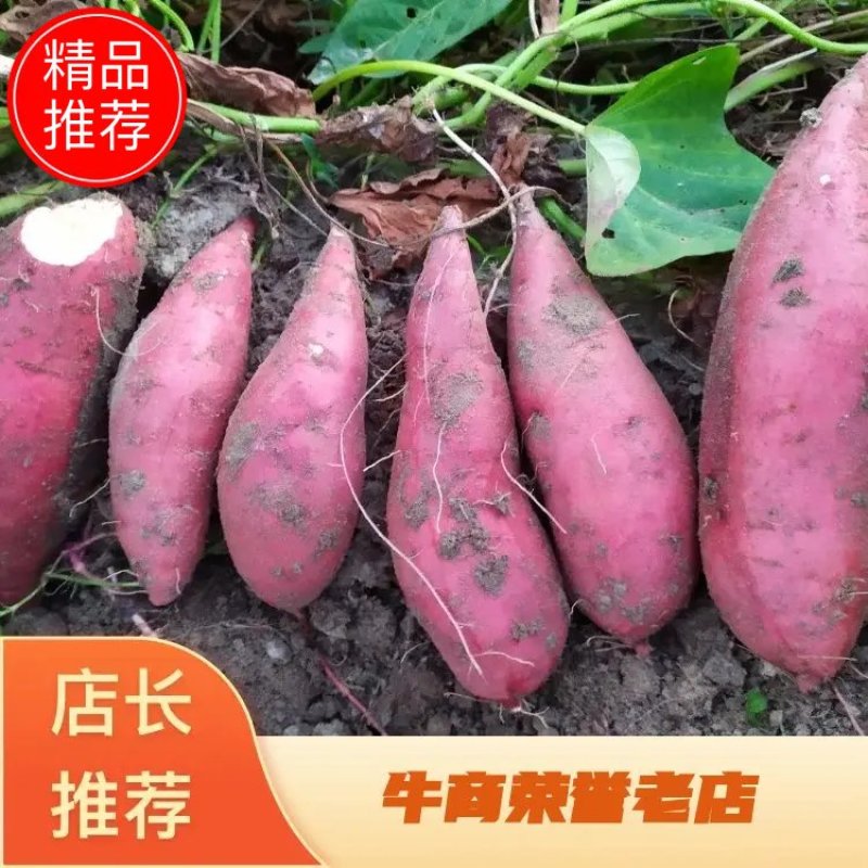 【推荐】红薯，产地发货，货源充足，对接中低端市场，电商