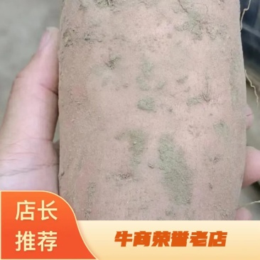 【精品龙薯九】河南开封红薯质量保证全国发货欢迎来电