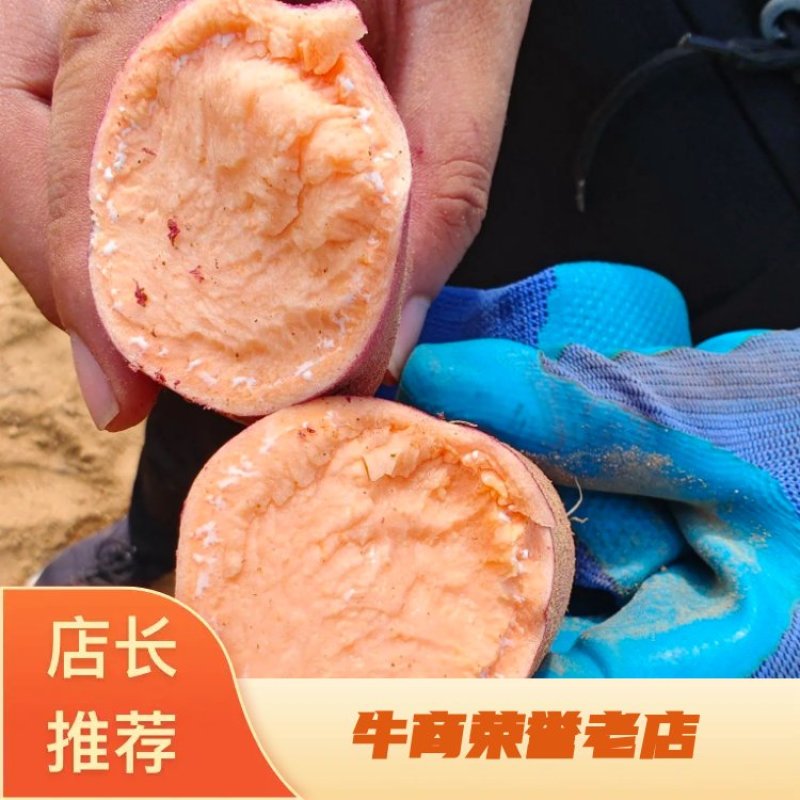 大量供303红薯，纯沙土地，口感特别软糯香甜……