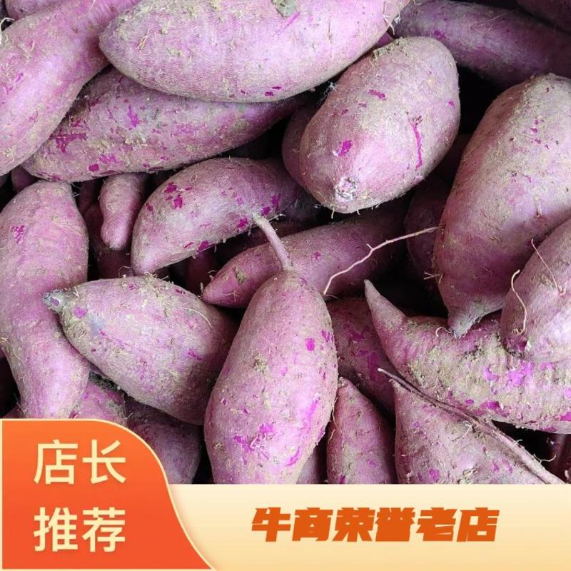 紫薯精品电商货，提供各种规格包装，每天可装9.6米一车