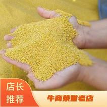 [推荐小米]黄小米新小米发货全国市场，来电