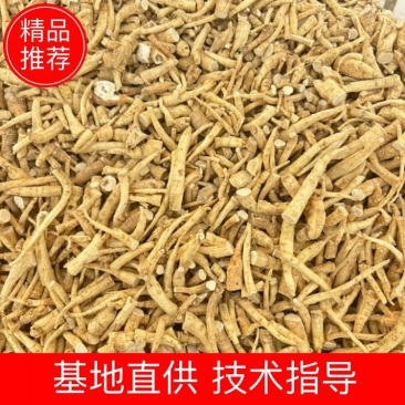 精品西洋参丁，东北人参产地直发品质保障一手货源