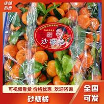 正宗砂糖橘广西桂林荔浦沙糖桔市场商超电商货源充足来电