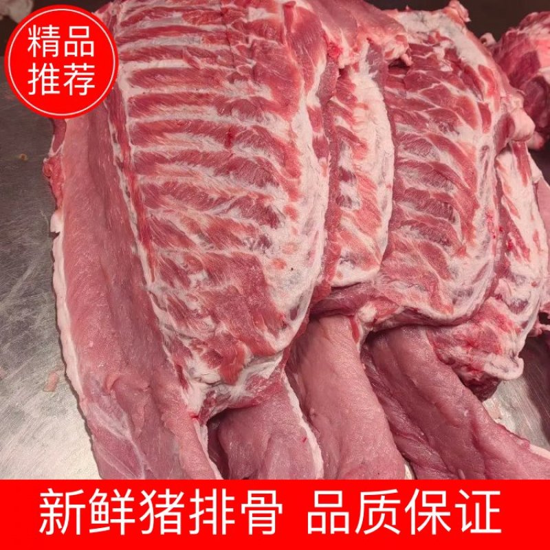 猪排骨大仔排新鲜排骨品质保证价格从优货源充足