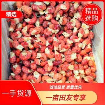 莱克代理精品虾尾纯干虾尾品质好欢迎咨询大量供货