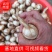塘菇，茨菇产地直销，对接全国市场批发商商超