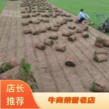 精品百幕大基地直发小区庭院工程绿化欢迎来电咨询