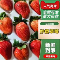 【妙香草莓】徐州草莓基地直发品质保证一手货源价格来电