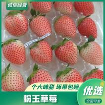 【粉玉公主】包邮云南精品粉玉草莓万亩基地直供全国发货快