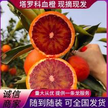 四川橙子塔罗科血橙甜橙对接大型商超市场电商团购