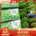 【精选】阳光玫瑰葡萄现货先发品质过硬价格不贵来电洽谈