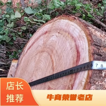 红椿木直径45，大量出售红椿木，欢迎新老顾客进店