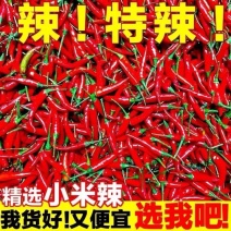 【精品推荐】小米辣鲜辣椒产地一手货源价格实惠欢迎来电货量稳定