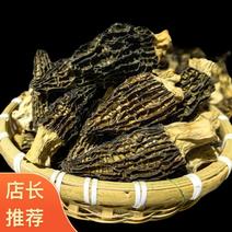 贵州羊肚菌野生菌菇供应中一手货源品质保证诚信经营