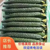 [热卖中]密刺黄瓜大量供货产地直发价格美丽品质上乘来电