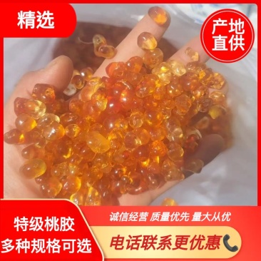 桃胶产地批发今年新货纯黄颗粒桃胶颜色好干净包邮