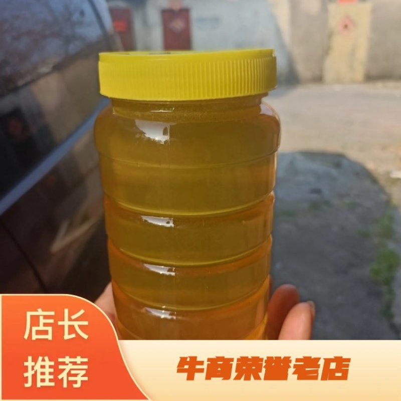 【牛商推荐】阳西荔枝蜂蜜产地一手货源保质保量欢迎订购
