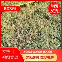 云南文山铁皮石斛产地直供支持视频全国对接