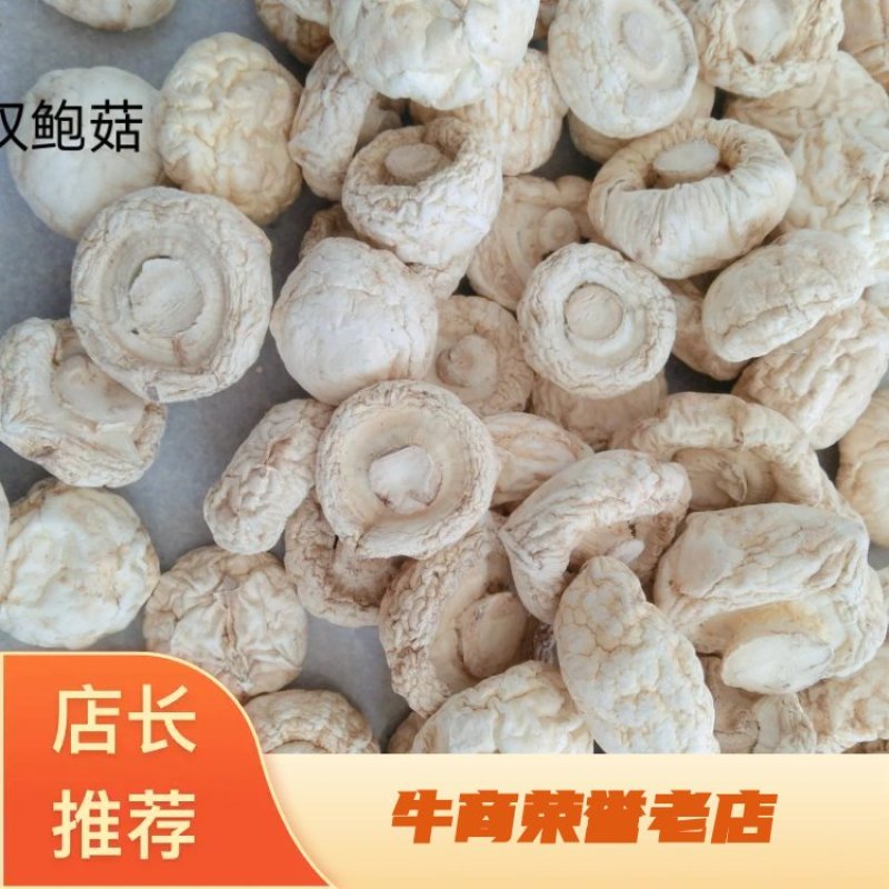 口蘑，又名坝上白蘑菇承德特产剪根产于平泉一年四季有货