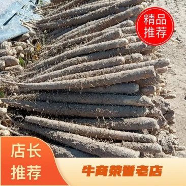 河北铁棍山药双胞山药产地直销全国代发保证质量
