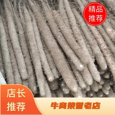 河北山药，麻山药双胞，紫药，麻山药，产地现货质量保证