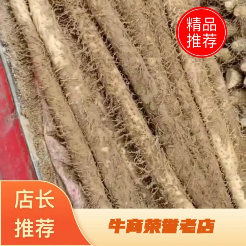 山药-棒药，紫药，双胞产地直销，全国代收代发