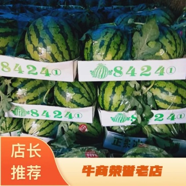 河南省夏邑县美都西瓜，保熟，保甜，量大，产地直销，