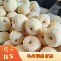 陕西精品纸袋砀山酥梨大量上市脆甜多汁，货源充足！