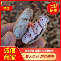 【新品上市】云南文山七彩花生质量保证品种纯正假一赔十
