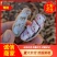 【新品上市】云南文山七彩花生质量保证品种纯正假一赔十