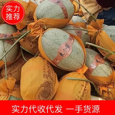 海南晓蜜25哈密瓜甜如蜜皮薄肉多原产地发货价格可商